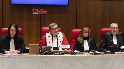 Didier Safar mène le procès contre Monique Olivier, le 28 novembre 2023. (SERGE TENANI / HANS LUCAS)